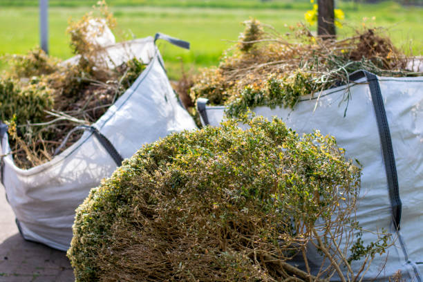 Best Yard Waste Removal  in Dexter, MI