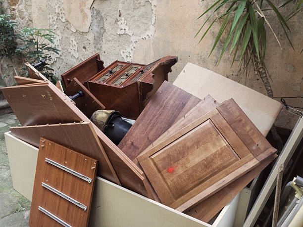 Best Professional Junk Removal  in Dexter, MI